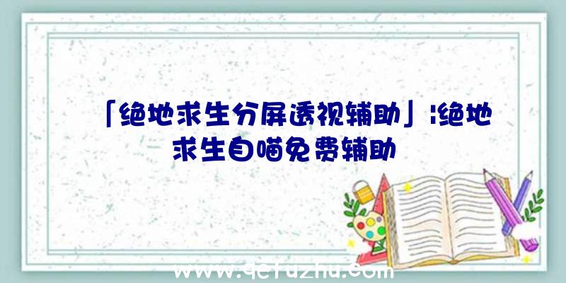 「绝地求生分屏透视辅助」|绝地求生自喵免费辅助